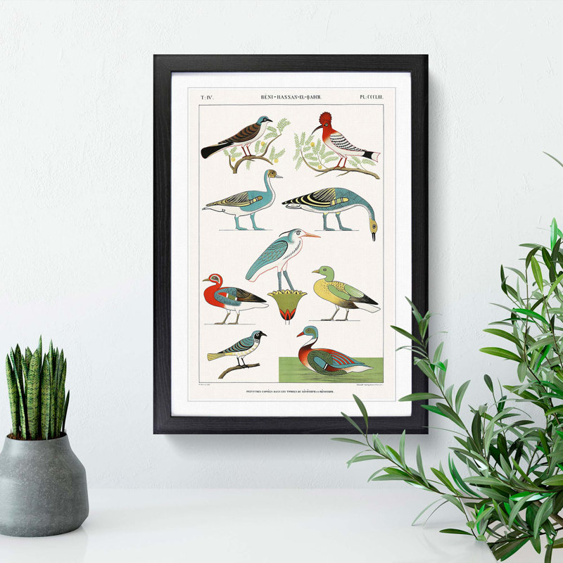 Birds & Ducks by J.F. Champollion - Picture Frame Painting Print, 36cm H x 27cm W x 2cm D, Black Framed
