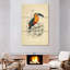 Brampton Toucan Du Para-108621017