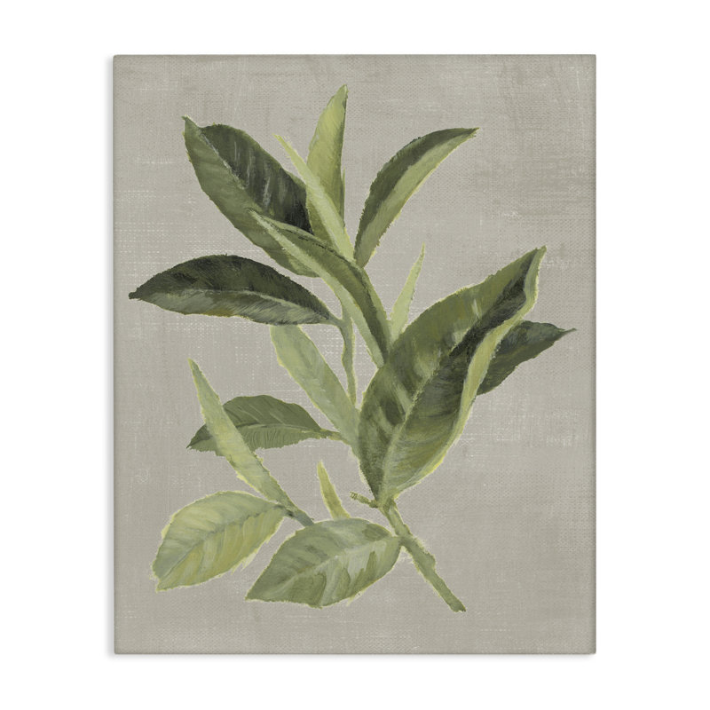 «Green Tea Plant Leaf», conception par Lanie Loreth, H 20 po x l 16 po