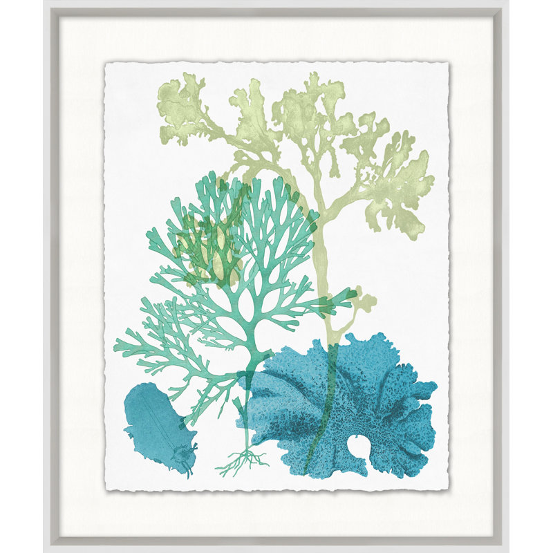 Deep Sea Kelp 7 Print