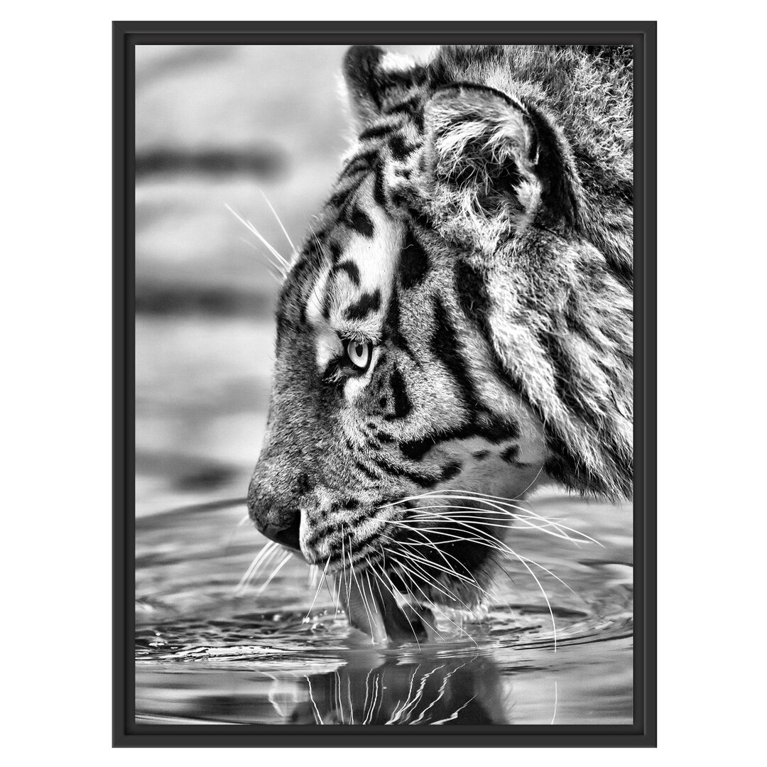 Gerahmtes Wandbild Tiger am Wasserloch