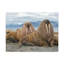 No Frame Print on Canvas-1469647496
