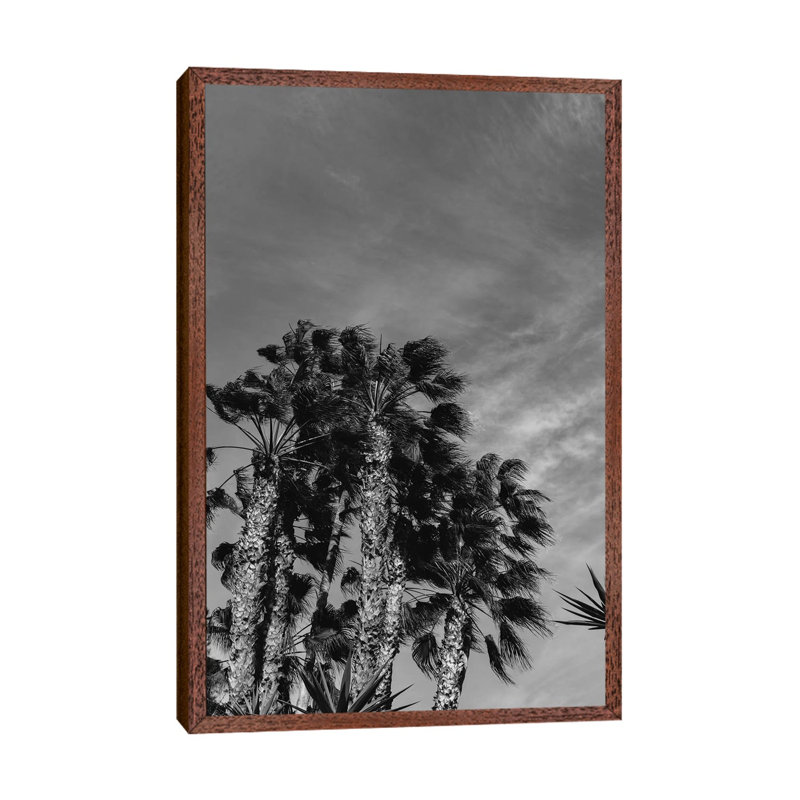 Monochrome California Sky by Bethany Young - Print on Canvas, 66.04cm H x 45.72cm W x 3.81cm D, Classic Brown Wood Framed