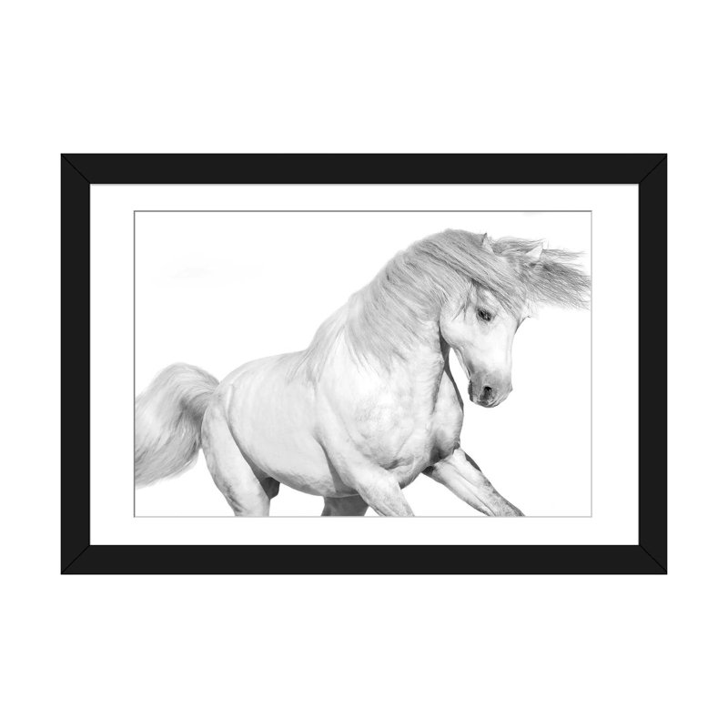 «Solo II» par Samantha Carter - impression sur toile tendue, H 16 po x l 24 po x P 1 po, Papier d'art encadré noir, Blanc
