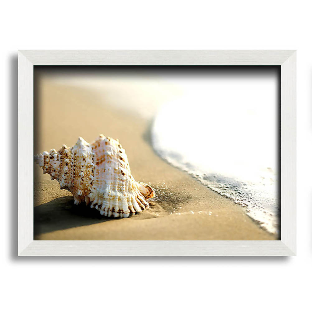 Gerahmtes Leinwandbild Whelk Shell On The Beach 2