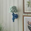 Carnaby Wallchiere-111804584-111804580