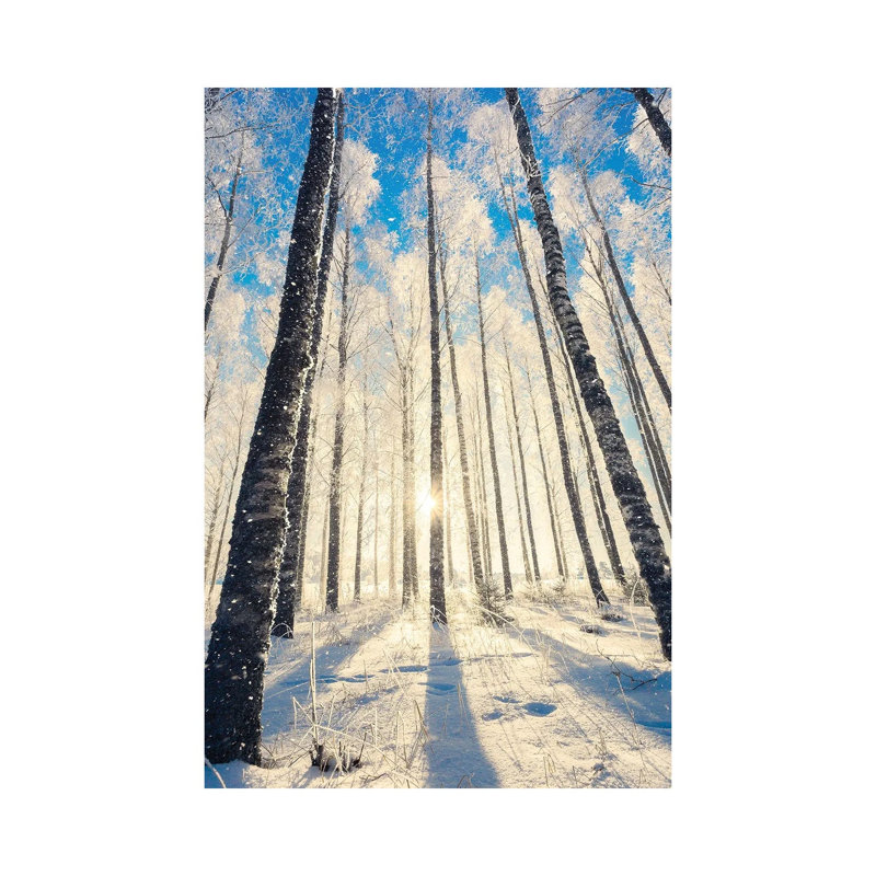In The Woods by Lauri Lohi - Wrapped Canvas Gallery-Wrapped Canvas Giclée, 20.32 cm H x 30.48 cm W