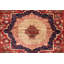 Aryana Wool Oriental Area Rug