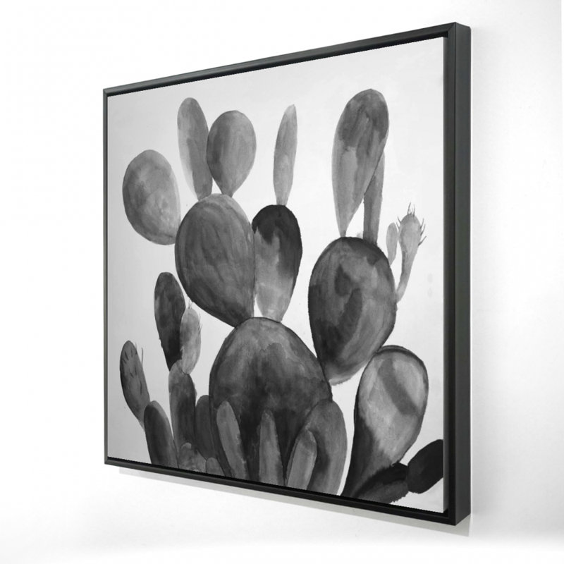 " Grayscale Paddle Cactus Plant "