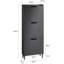 Oshiro Flip Down Shoe Storage-558580599-598812484
