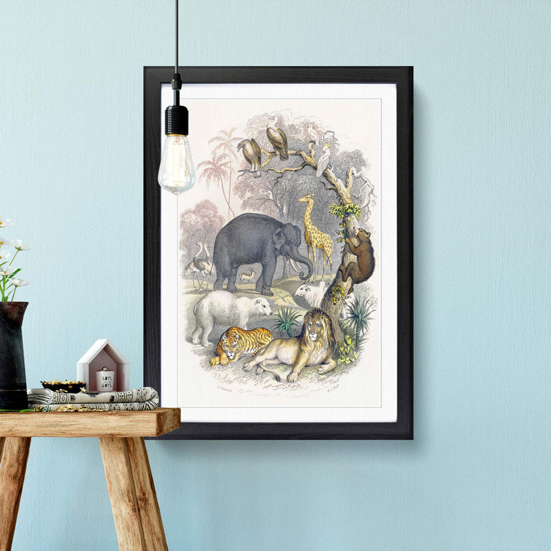 Animal Kingdom Illustration by Oliver Goldsmith - Framed Print, 45cm H x 33cm W x 2cm D, Black Framed