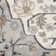 Berendt Oriental Indoor Rug