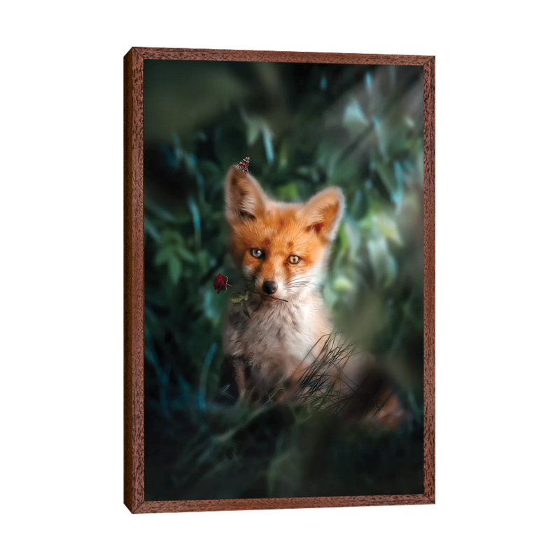 The Gentle Fox Cub by Zenja Gammer - Print on Canvas, 66.04 cm H x 45.72 cm W, Classic Brown Wood Framed