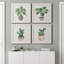 Boho Greenery I - ensemble de 4 peintures sur toile encadrées-60149346-60149338