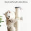 Cat Scratch Post 31.42 In Tall With Hanging Ball