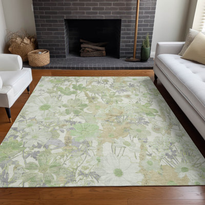 Machine Washable Indoor/Outdoor Claudian ACN1506 Aloe Rug
