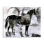 Art mural sur toile à motif de cercle et cheval par Ethan Harper-2064742323