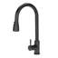 Belfry Kitchen Kitchen Faucet-411650252