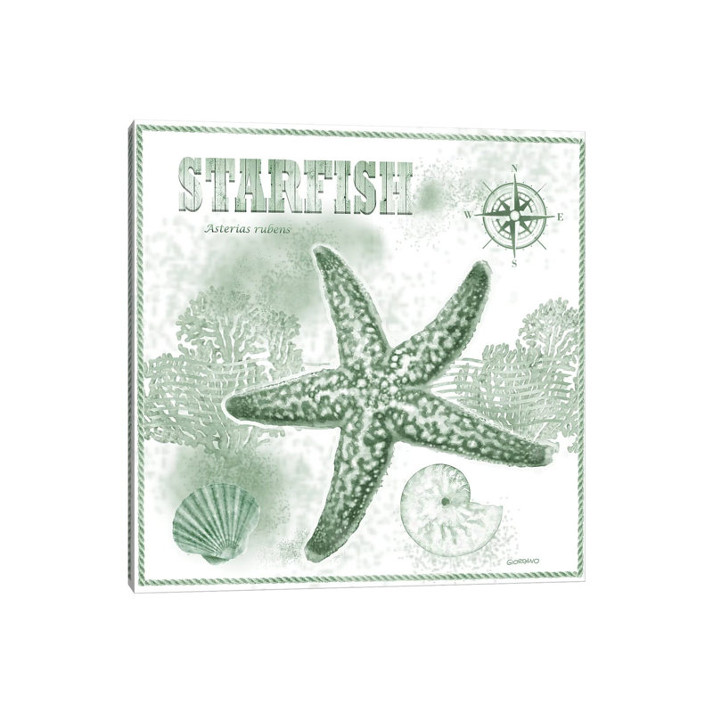 Green Star by Giordano Studios - Wrapped Canvas Print, 30.48 cm H x 30.48 cm W