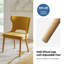 Chaises de salle à manger rembourrées de style moderne Mid-Century avec pieds en bois massif de 21,5 po Piscoya-100169553