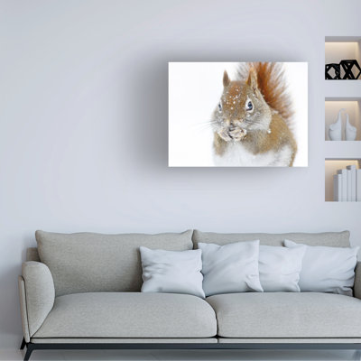 Art mural sur toile tendue - Mircea Costina «Christmas Squirrel», décoration murale pour le salon, la chambre à coucher ou le bureau - 35 x 47