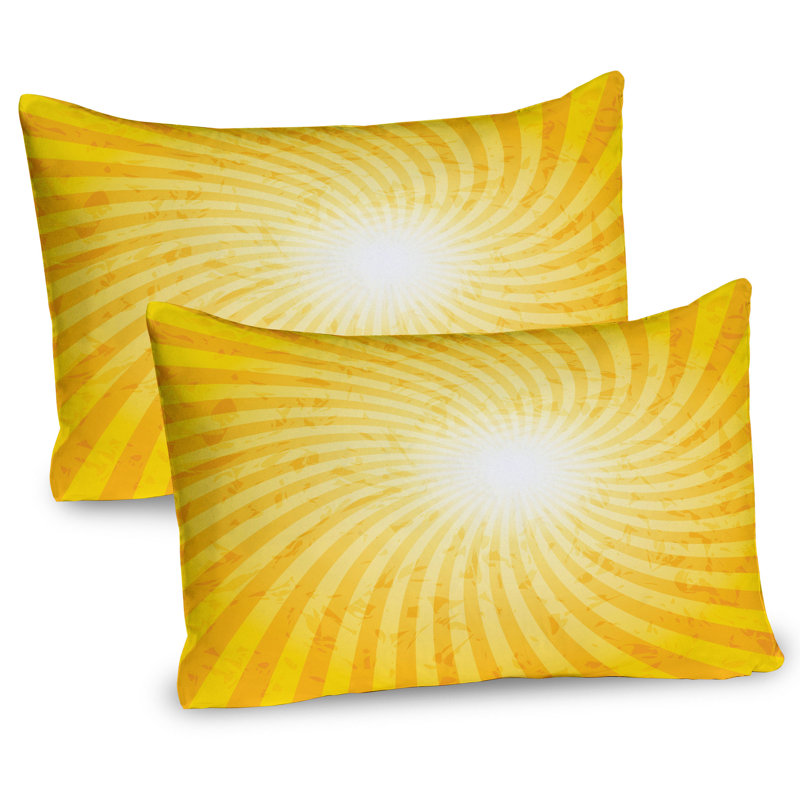 Ensemble de 2 taies décoratives abstraites Ambesonne, H 20 po x l 30 po
