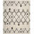 Alieshia Berber Shag Performance Geometric Rug-55844822