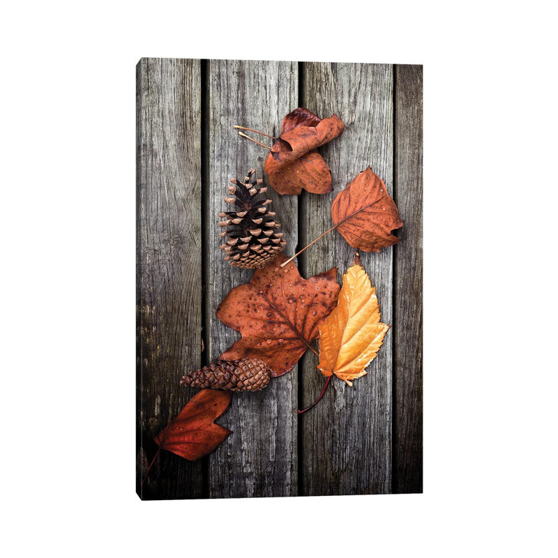Under Trees by Philippe Sainte-Laudy - Wrapped Canvas Print, 66.04 cm H x 45.72 cm W