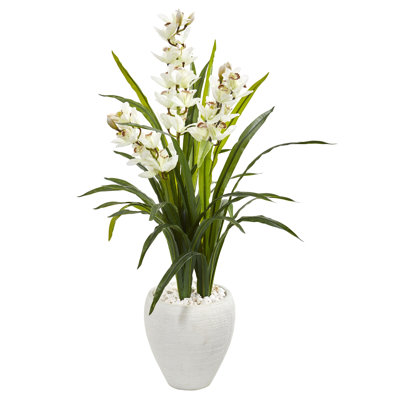 Orchid Arrangement in Planter