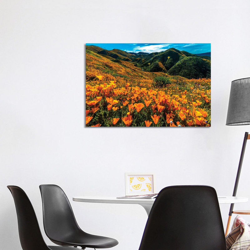 Super Bloom Of California Poppies In Walker Canyon, California, USA - Wrapped Canvas Print, 66.04cm H x 101.6cm W x 1.905cm D