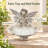 Fairy Garden Statue with Leaf Tray