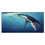 Baleine dans l'océan - Impression sur toile-1937934309-1937934314