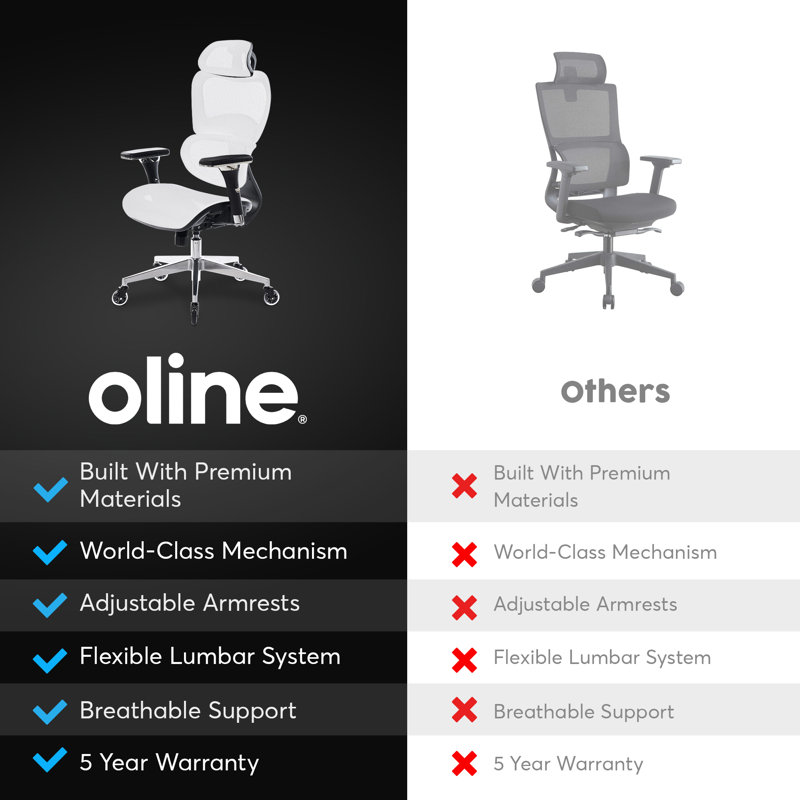 ErgoPro Ergonomic Office Chair, Rolling Desk Mesh Computer Gaming Executive Chair with Blade Wheels, White
