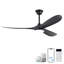 Ventilateur de plafond intelligent de 60 pouces avec 2 lumières, 2 pales en ABS, moteur à courant continu réversible pour ferme de chambre à coucher-1813831448-1813831446