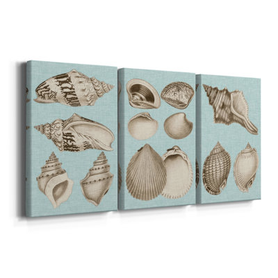Sépia et turquoise coquillages IV - Toile tendue sur mesure - 3 pièces