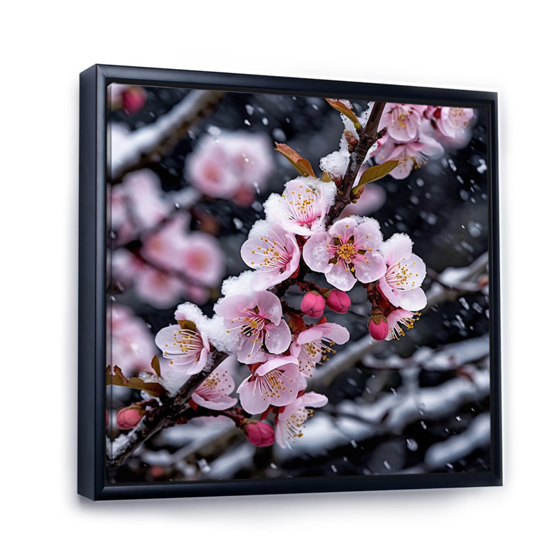 Fleur de cerisier en hiver I, H 24 po x l 24 po x P 1 po, Cadre flottant noir