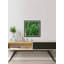 Prickly Field - Single Picture Frame Painting-1576584113