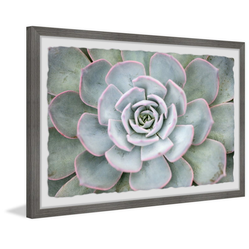 Pink Edges - Single Picture Frame Painting, 38 cm H x 45 cm W