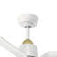 Ventilateur de plafond Hugo-113873817-113873818-113873811