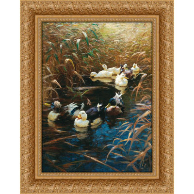 Ducks in autumn reeds