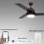  52'' Ceiling Fan with LED Lights