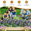 Tavion Wood Raised Garden Bed