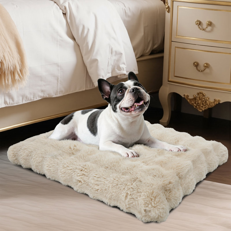 Dog Bed, Beige, 10cm H x 76cm W x 51cm D