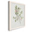 Toile encadrée simple Sprig IV de qualité supérieure - prête à être accrochée-1649907285-1649907287