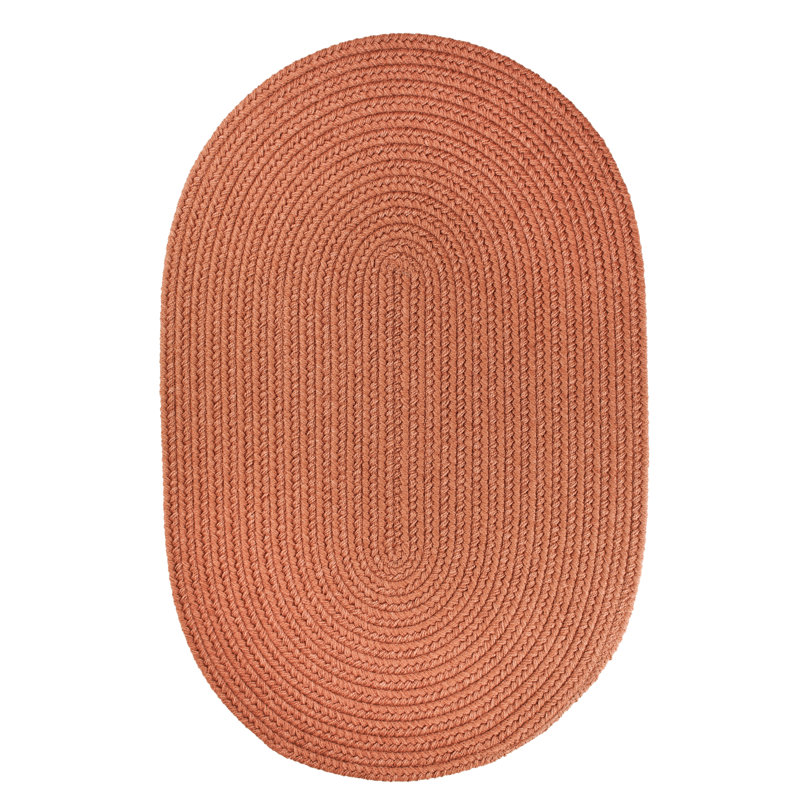 Smyth Hand Braided Synthetic Indoor Rug, Oval 2' x 3'