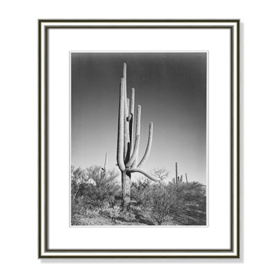 Saguaro National Monument Print by Ansel Adams