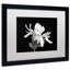 Fabrizzio "Magnolia Flower" par Pierre Leclerc, reproduction de photo encadrée-19656377-70632094