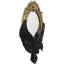 Miroir mural de style gothique
