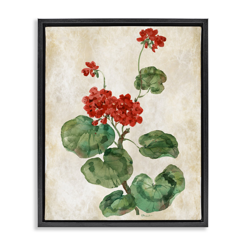 Cadre flottant Floral Journal, Cadre flottant noir de jais, H 21 po x l 17 po