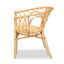 Brayonna 16.9'' H Armchair